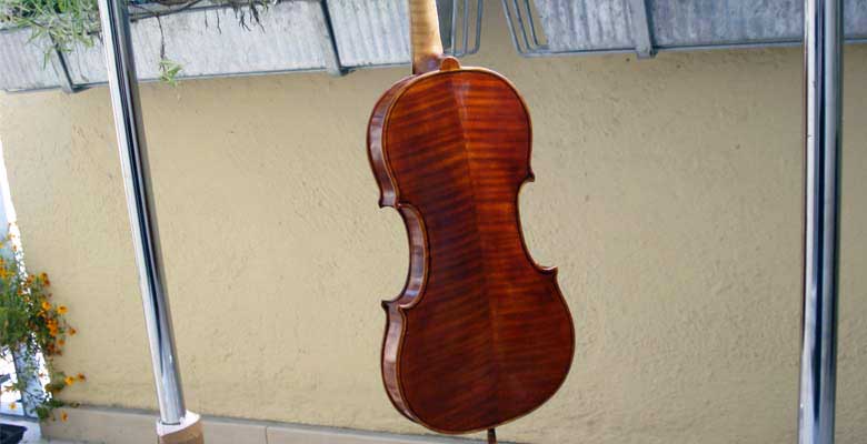 Domholz-Geige-Rückenansicht